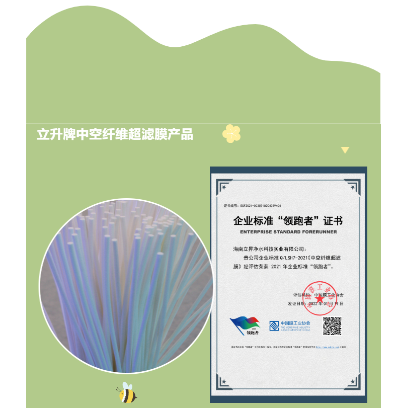 企業標準領跑者海南立昇